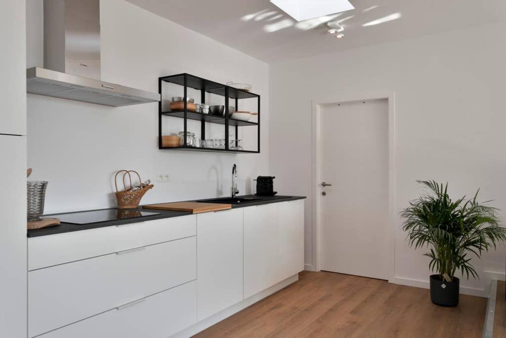 Appartamento Penthouse, Rooftop Terrace, Free Netflix, Wifi And Airco Anversa